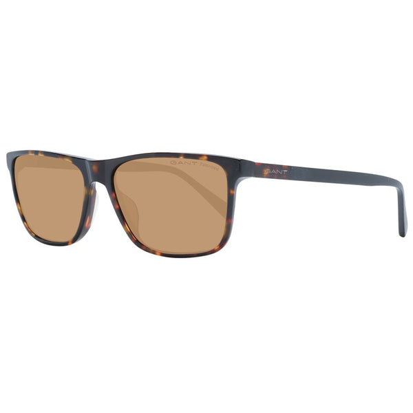 Brown Men Sunglasses